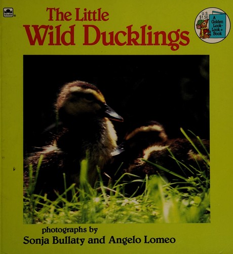 The Little Wild Ducklings