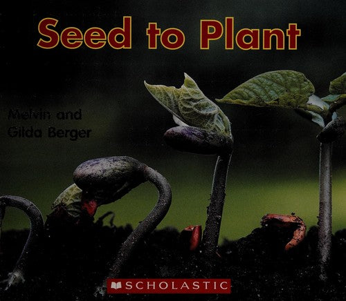 Seed To Plant