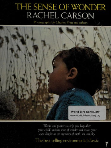The Sense Of Wonder