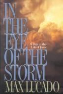 In the Eye of the Storm: A Day in the Life of Jesus