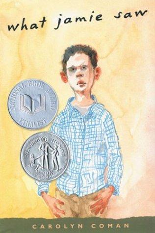 What Jamie Saw (Newbery Honor Book)