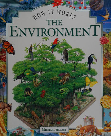 The Environment (How It Works)