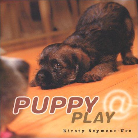 Puppy At Play