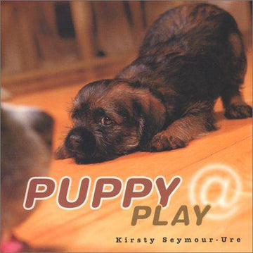 Puppy At Play