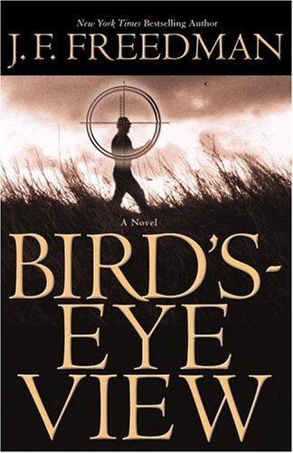 Bird's-Eye View: A Novel