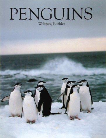 Penguins