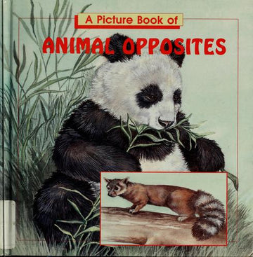 A Picture Book Of Animal Opposites