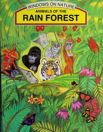Animals Of The Rain Forest