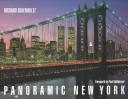 Panoramic New York