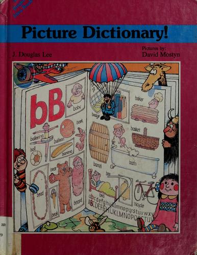 Picture Dictionary! (Bright Idea Book)
