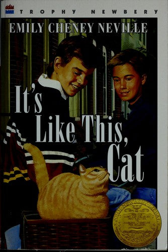 It's Like This, Cat (Trophy Newbery)
