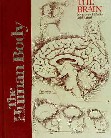 The Human Body: The Brain