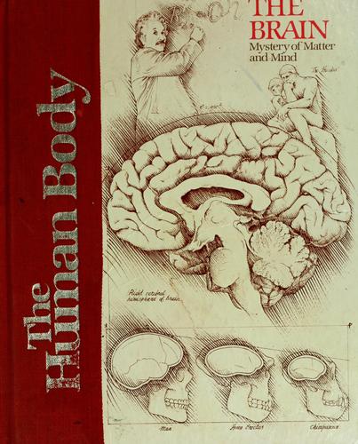 The Human Body: The Brain