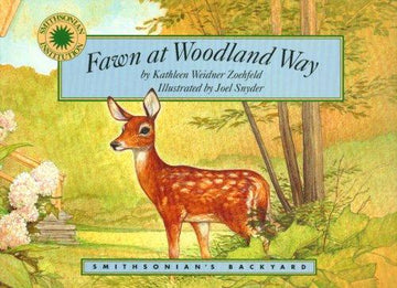 Fawn At Woodland Way