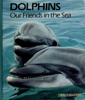 Dolphins, Our Friends In The Sea