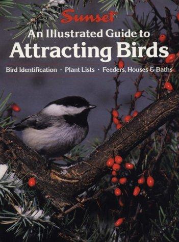 An Illustrated Guide To Attracting Birds