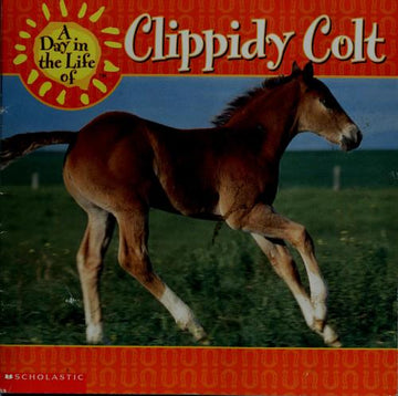 A Day In The Life Of Clippidy Colt (Day In The Life Of)