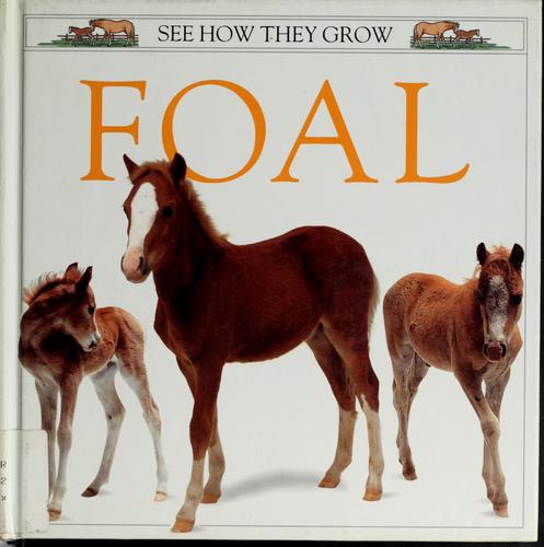 See How They Grow: Foal