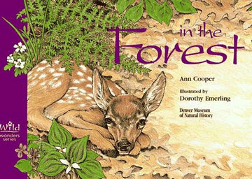 In the Forest