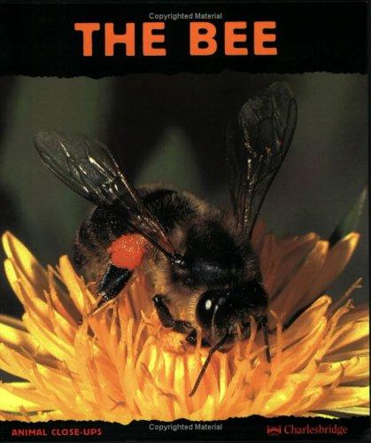 The Bee: Friend Of The Flowers (Animal Close-Ups) (Animal Close-Ups)