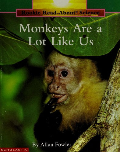 Monkeys Are A Lot Like Us