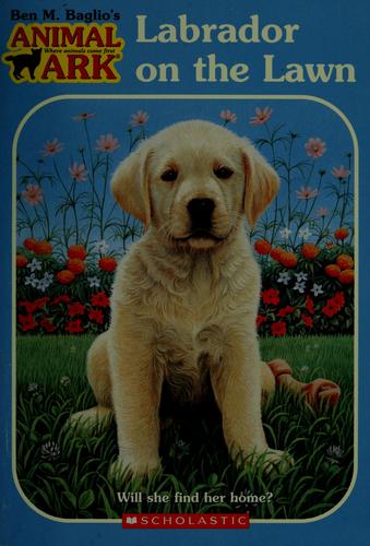 Labrador On The Lawn (Animal Ark Holiday Treasury #1) (Animal Ark Series #38)