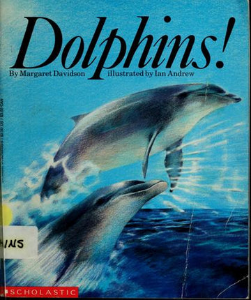 Dolphins!
