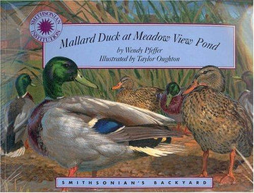 Mallard Duck At Meadow View Pond (Smithsonian's Backyard)