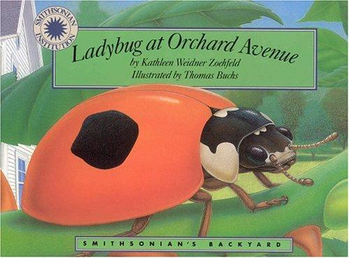 Ladybug At Orchard Avenue (Smithsonian's Backyard) (Smithsonian's Backyard)