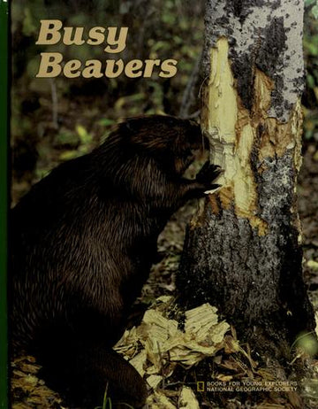 Busy Beavers (Books For Young Explorers)