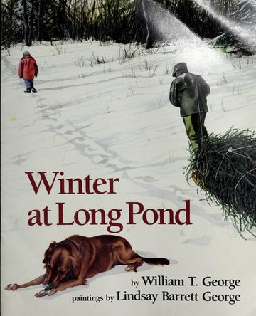 Winter At Long Pond