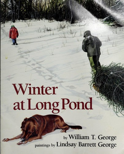 Winter At Long Pond
