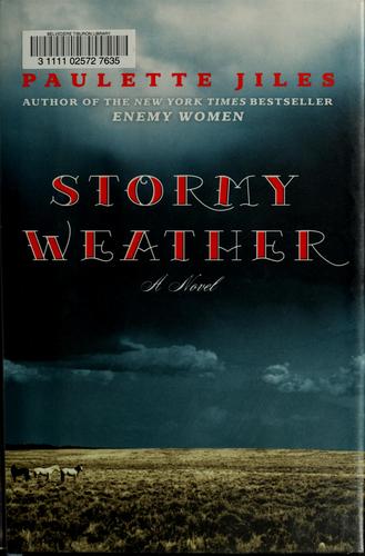 Stormy Weather: A Novel