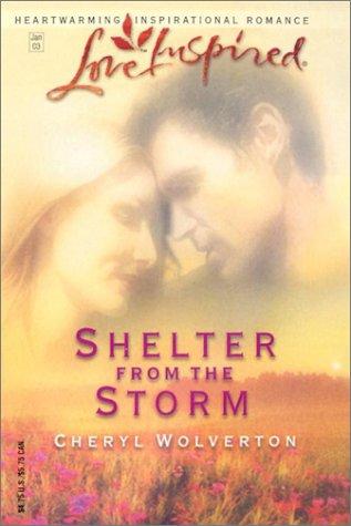 Shelter From The Storm (Everyday Heroes, Book 2) (Love Inspired #198)