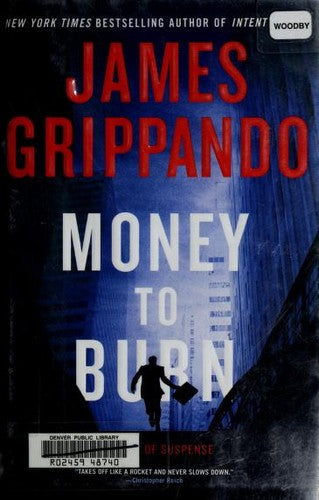 Money To Burn: A Novel Of Suspense