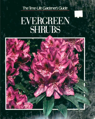 Evergreen Shrubs (Gardener's Guide)