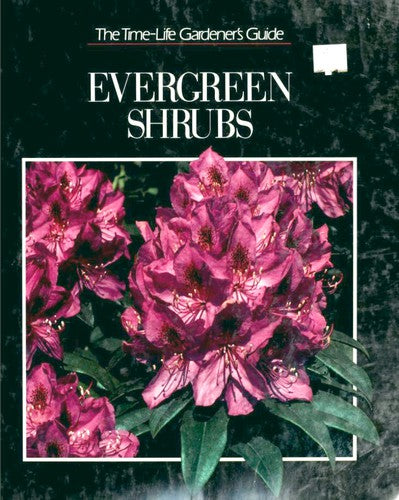 Evergreen Shrubs (Gardener's Guide)
