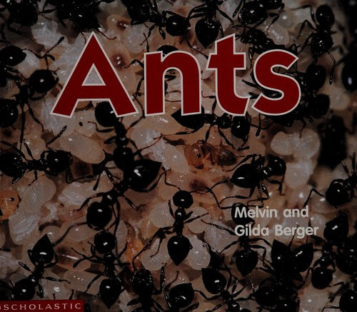 Ants (Scholastic Time-To-Discover Readers)