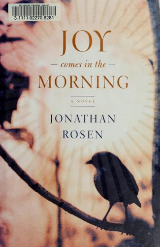 Joy Comes in the Morning: A Novel