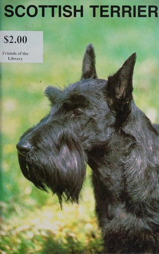 Scottish Terrier
