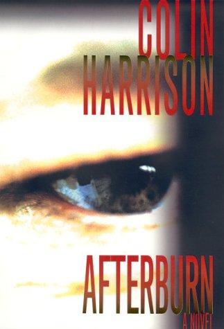 Afterburn: A Novel