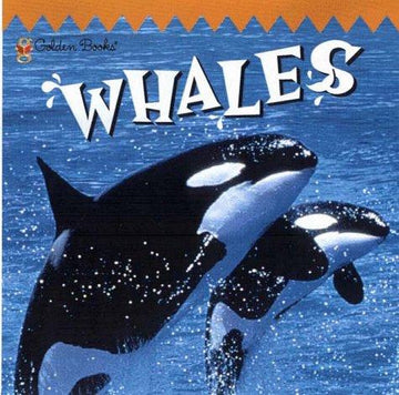 Whales (Look-Look)