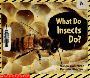 What Do Insects Do (Science Emergent Readers)