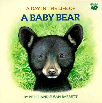 A Day In The Life Of A Baby Bear: The Cub's First Swim