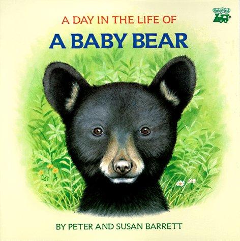 A Day In The Life Of A Baby Bear: The Cub's First Swim