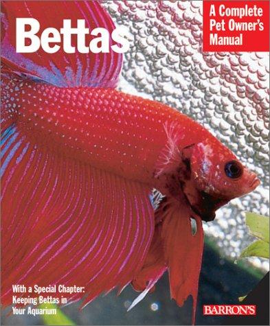 Bettas: everything about history, care, nutrition, handling, and behavior