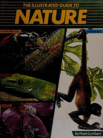 The Illustrated Guide To Nature