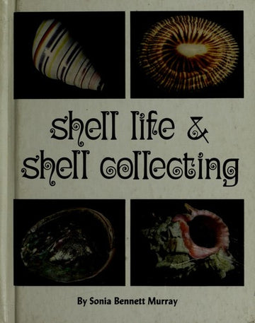 Shell Life & Shell Collecting: paintings.