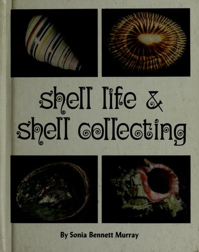 Shell Life & Shell Collecting: paintings.