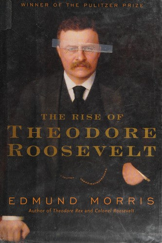 The Rise Of Theodore Roosevelt